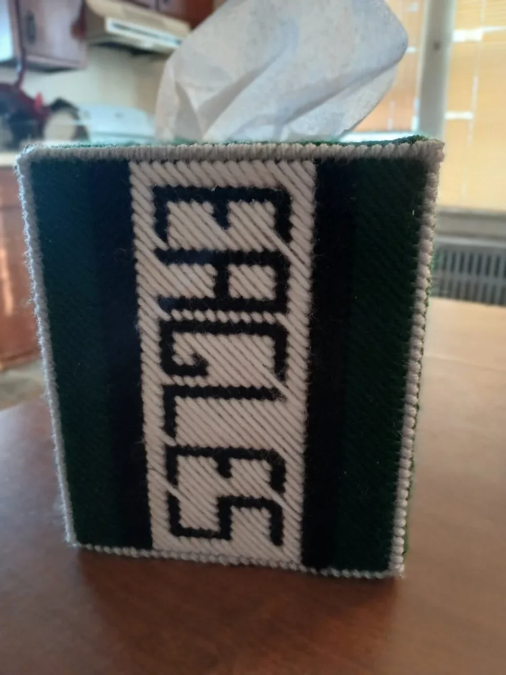 Philadelphia Eagles Handstitched Boutique Tissue Box Cover Gift